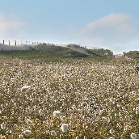 Maison 3 Pieces Avec Jardin A 600m De La - 6 Couchages - - Fr-1-224b-66